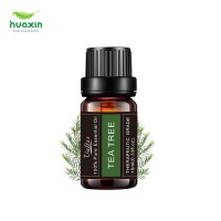 Skin Care Tea Tree Essential Oil